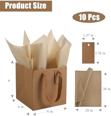 ADIDO EVA 10PCS Square Gift Bags with Handles