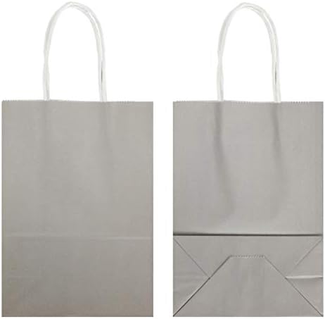 25 PCS Small Gray Kraft Gift Bags with Handles