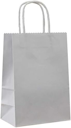 25 PCS Small Gray Kraft Gift Bags with Handles