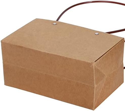 DEAYOU 10-Pack Brown Kraft Flower Gift Bags with Handles