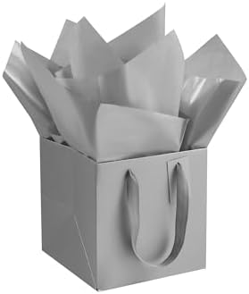 ADIDO EVA 10Pcs Silver Square Gift Bags with Handles