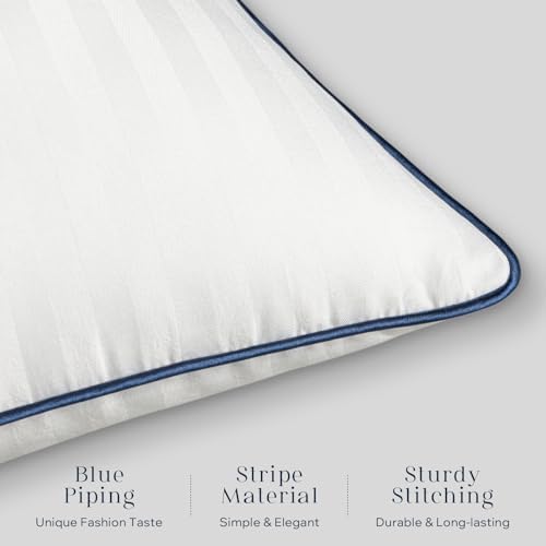 Phantoscope Water-Resistant Pillow Inserts - Pack of 2 20x20 Inch