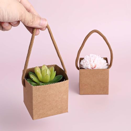 Lemecima 100Pcs Succulent Wrap Bags Gift Box