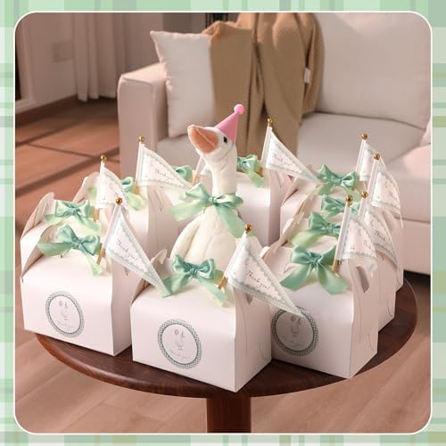 AmazingSpark 12pcs Silly Goose Gift Boxes with Stickers Pennants
