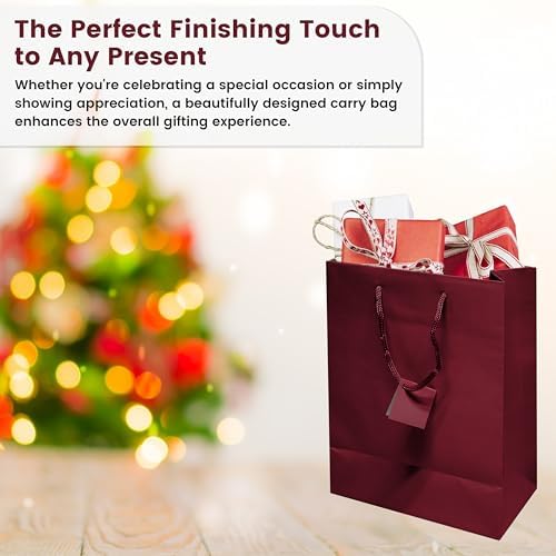 Novel Box Burgundy Gift Bags with Handles 10 Pack