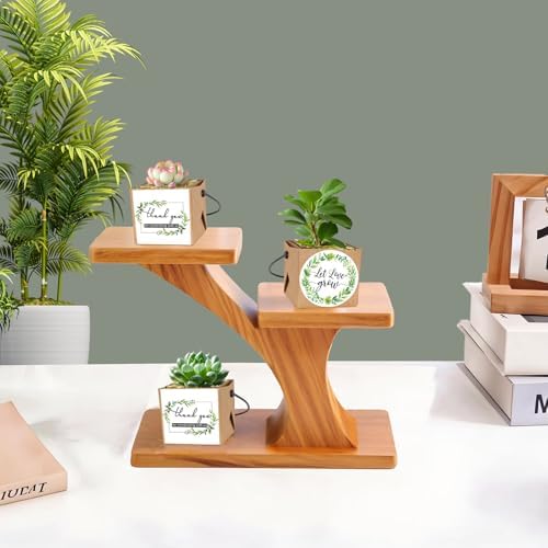 ENYOUNG 50 Pcs Mini Succulent Wrap Bags with Handle