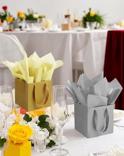 ADIDO EVA 10Pcs Silver Square Gift Bags with Handles