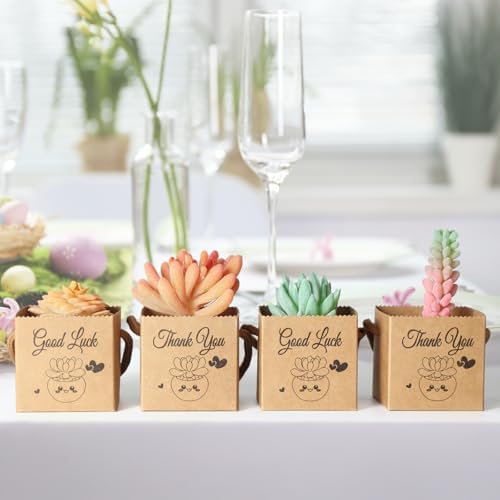 YALIOURS 50PCS Succulent Gift Wrap Bags for 2-25 Inch Pots
