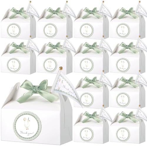 AmazingSpark 12pcs Silly Goose Gift Boxes with Stickers Pennants