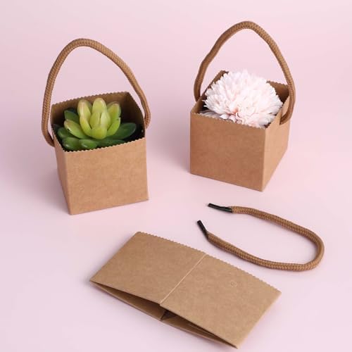 Lemecima 100Pcs Succulent Wrap Bags Gift Box