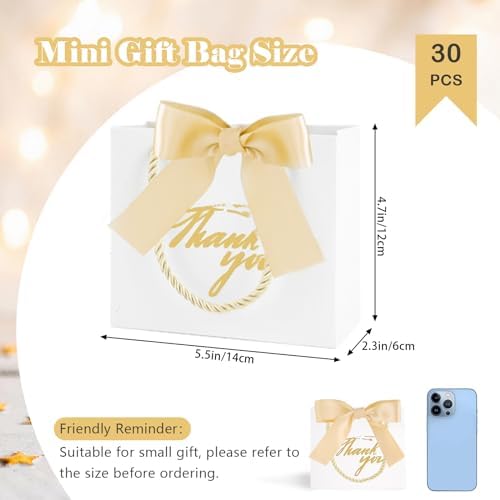 30 Pack Mini Thank You Gift Bags with Handle and Bow