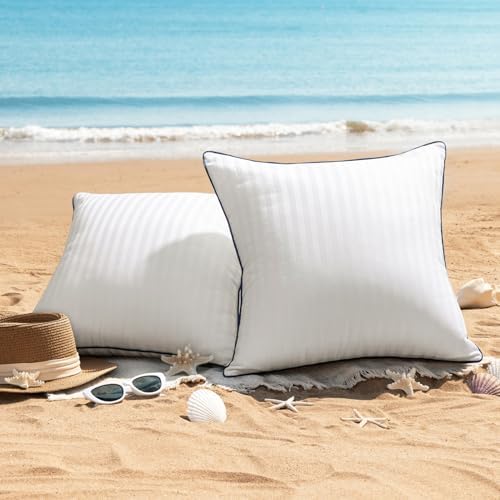 Phantoscope Water-Resistant Pillow Inserts - Pack of 2 20x20 Inch
