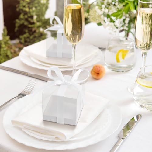 Hxezoc 50 Pack Clear Candy Gift Boxes with White Ribbons