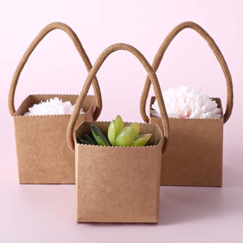 Lemecima 100Pcs Succulent Wrap Bags Gift Box