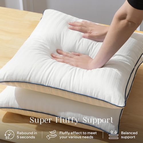 Phantoscope Water-Resistant Pillow Inserts - Pack of 2 20x20 Inch