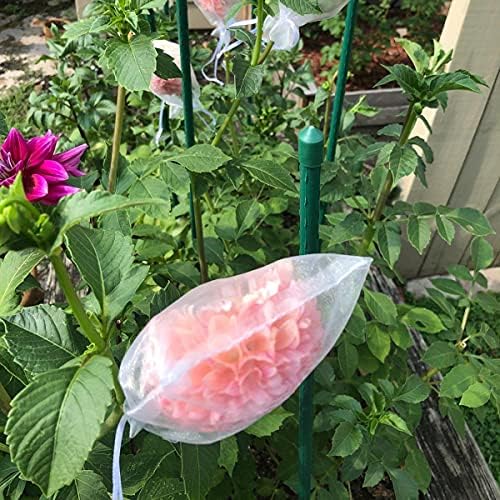 4x6 Inch Organza Gift Bags with Drawstring Set of 100