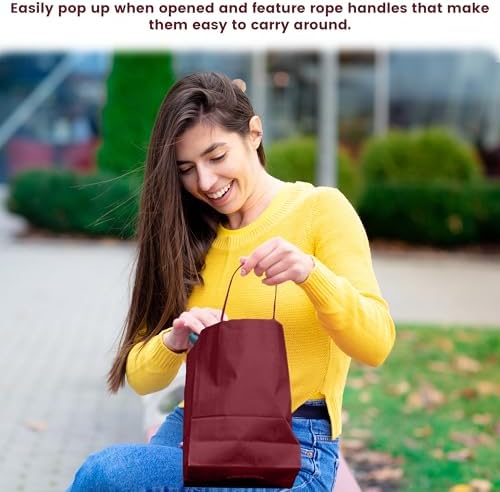Novel Box Burgundy Gift Bags with Handles 10 Pack