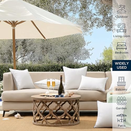 Phantoscope Water-Resistant Pillow Inserts - Pack of 2 20x20 Inch