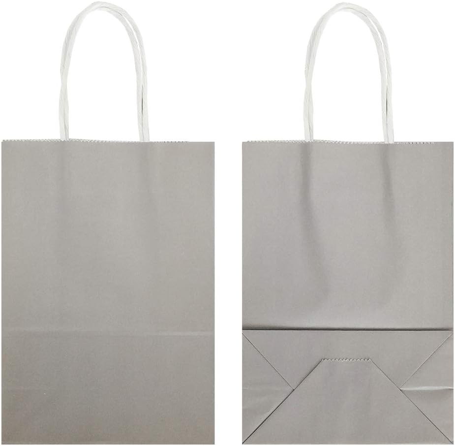 25 PCS Small Gray Kraft Gift Bags with Handles