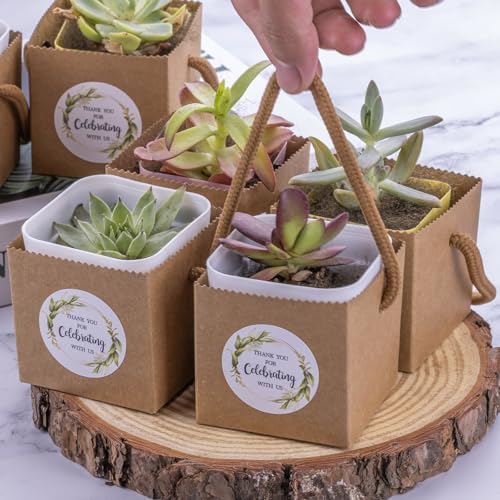 Ucnemous Succulent Wrap Bags with Thank You Stickers 40pcs