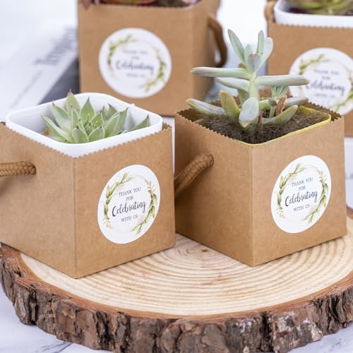 Ucnemous Succulent Wrap Bags with Thank You Stickers 40pcs
