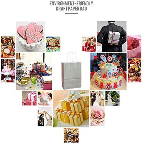 25 PCS Small Gray Kraft Gift Bags with Handles