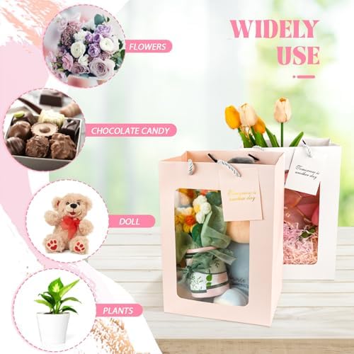 30 PCS White Gift Bags with Clear Window and Handles