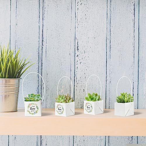 WATINC 40Pcs Succulent Gift Wrap Bags Set