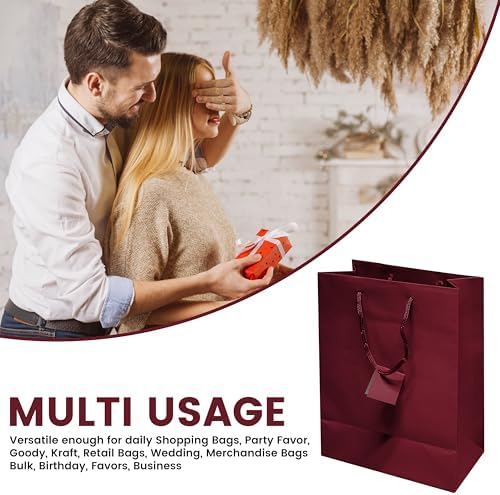 Novel Box Burgundy Gift Bags with Handles 10 Pack