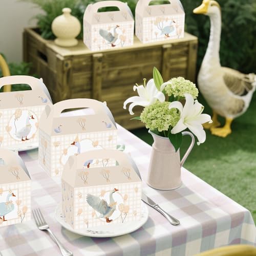 Silly Goose Themed 12 Piece Beige Gingham Party Boxes