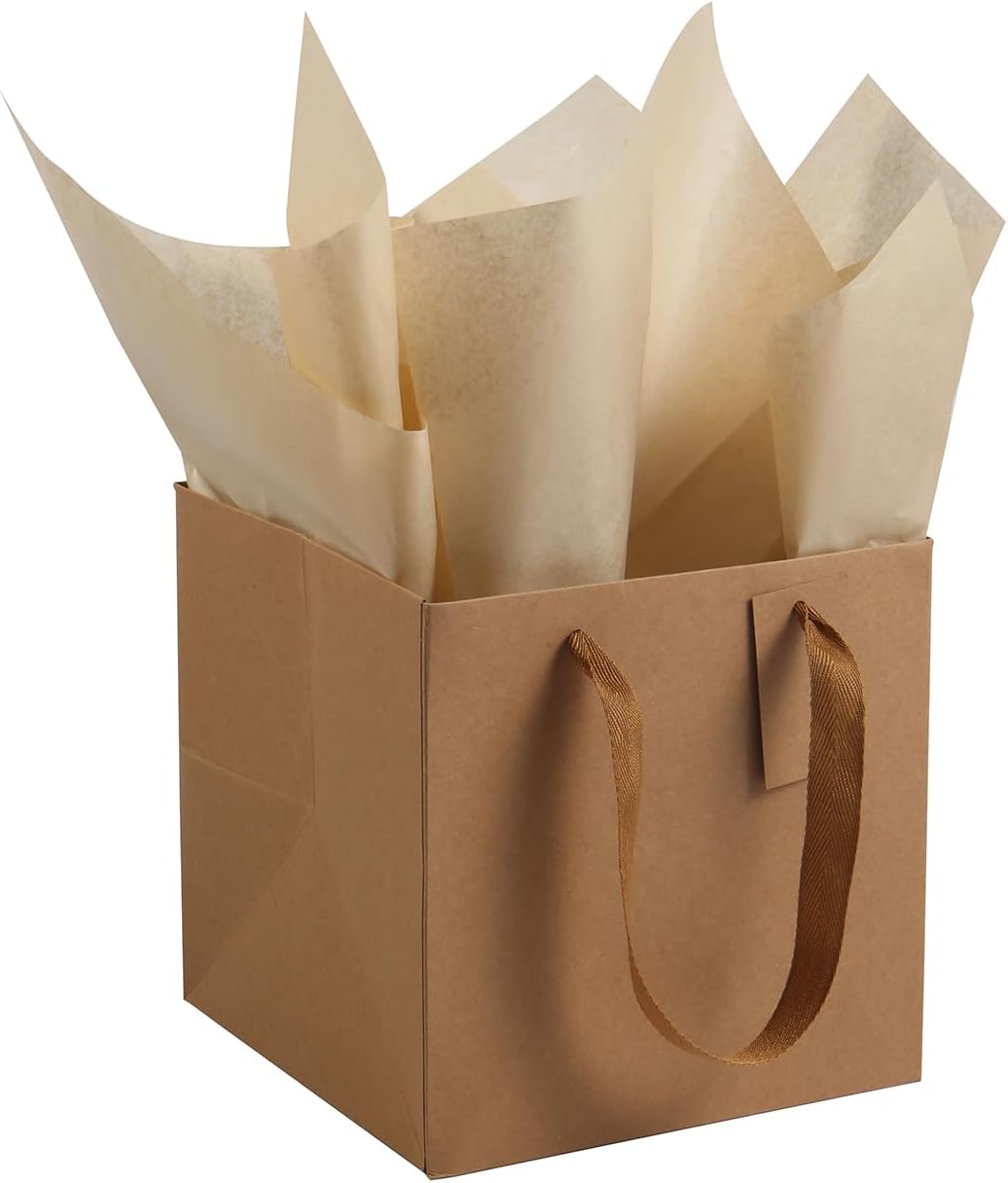 ADIDO EVA 10PCS Square Gift Bags with Handles