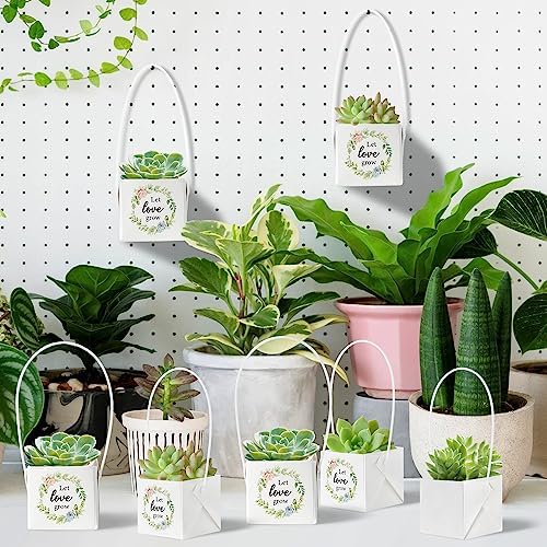 WATINC 40Pcs Succulent Gift Wrap Bags Set