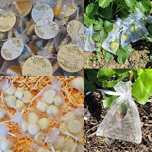 jijAcraft 100PCS White Organza Drawstring Gift Bags