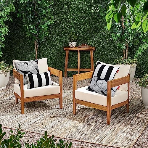Pcinfuns 18x18 Inch Throw Pillows Pack of 2