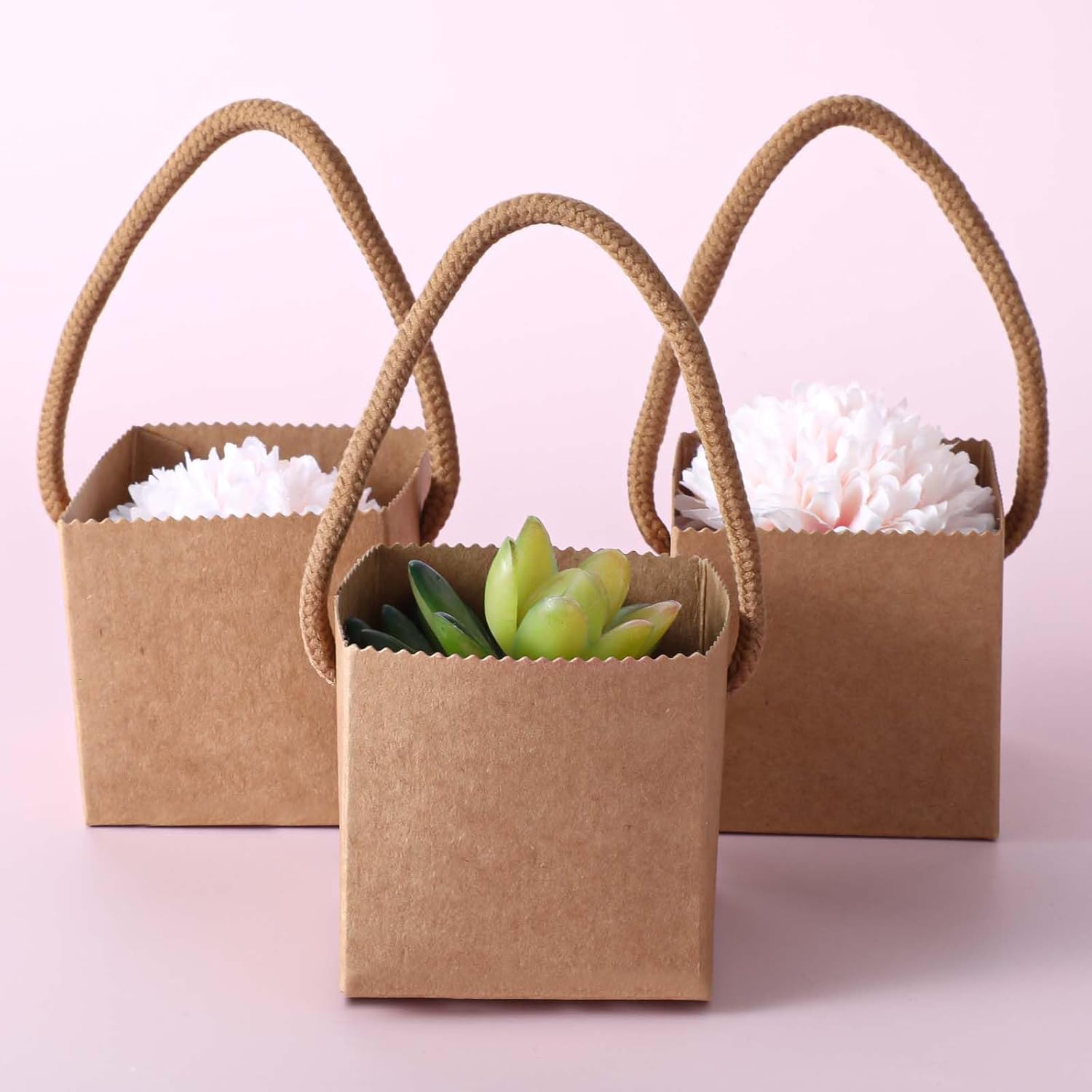 Lemecima 100Pcs Succulent Wrap Bags Gift Box