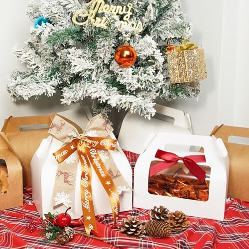 UnicoPak 5 Pack Large Gable Gift Boxes