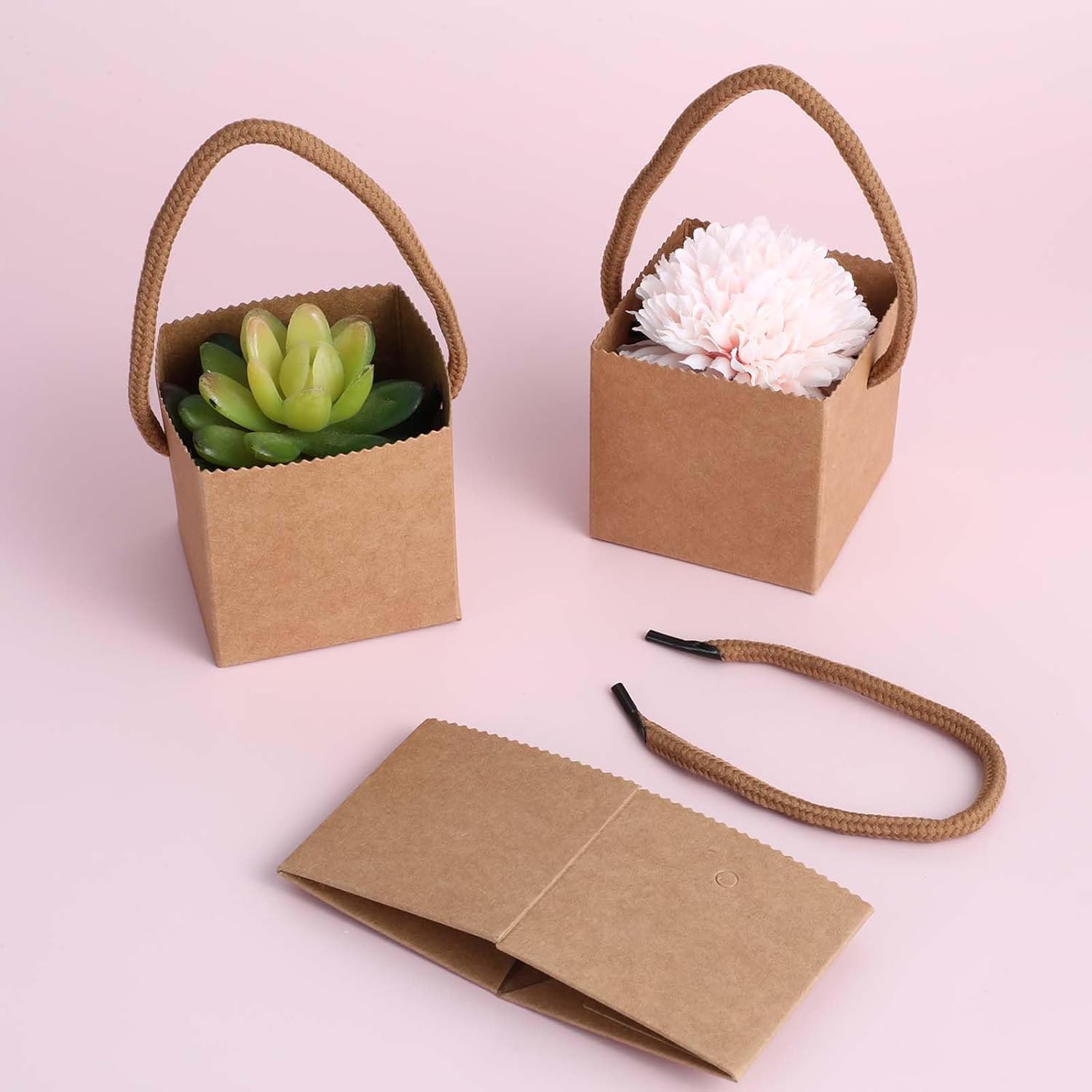Lemecima 100Pcs Succulent Wrap Bags Gift Box