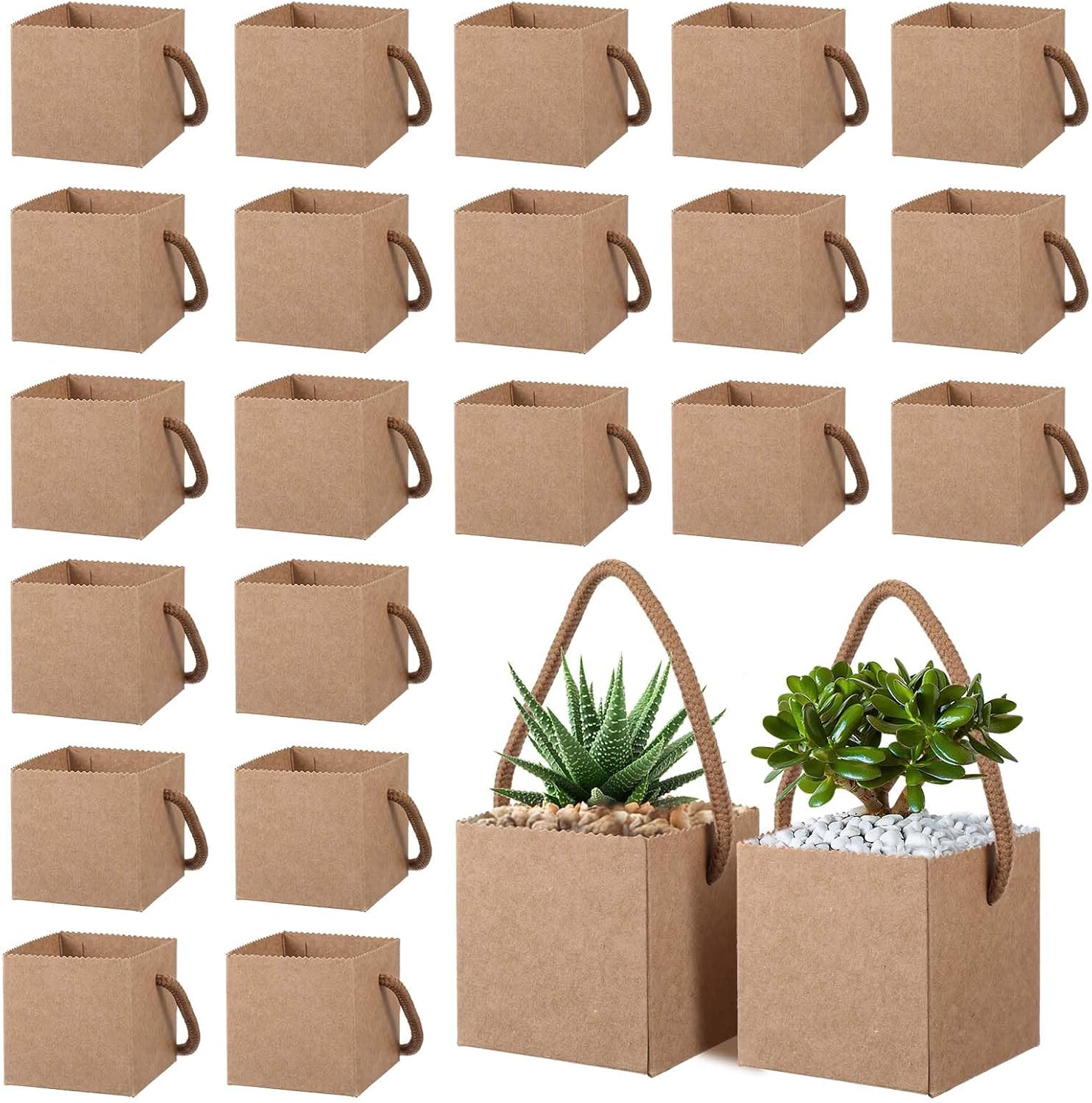 Lemecima 100Pcs Succulent Wrap Bags Gift Box