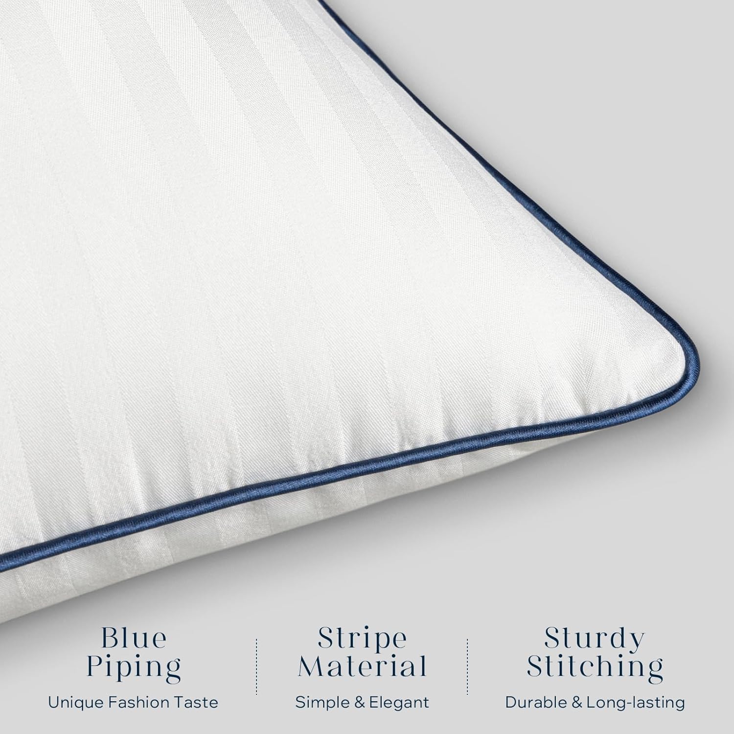 Phantoscope Water-Resistant Pillow Inserts - Pack of 2 20x20 Inch