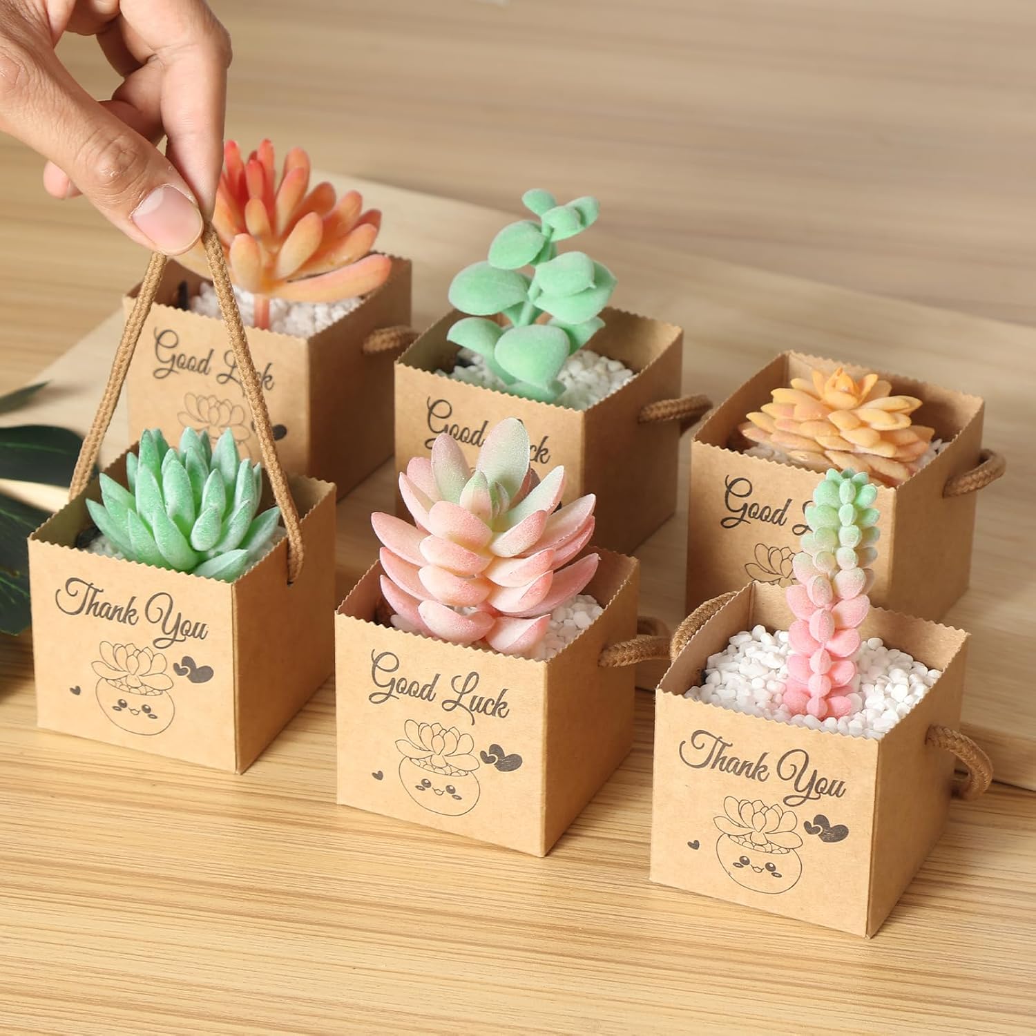 YALIOURS 50PCS Succulent Gift Wrap Bags for 2-25 Inch Pots