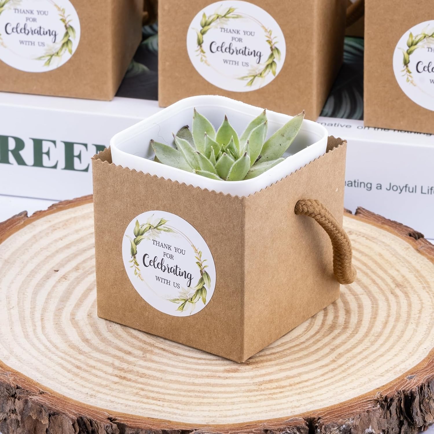 Ucnemous Succulent Wrap Bags with Thank You Stickers 40pcs