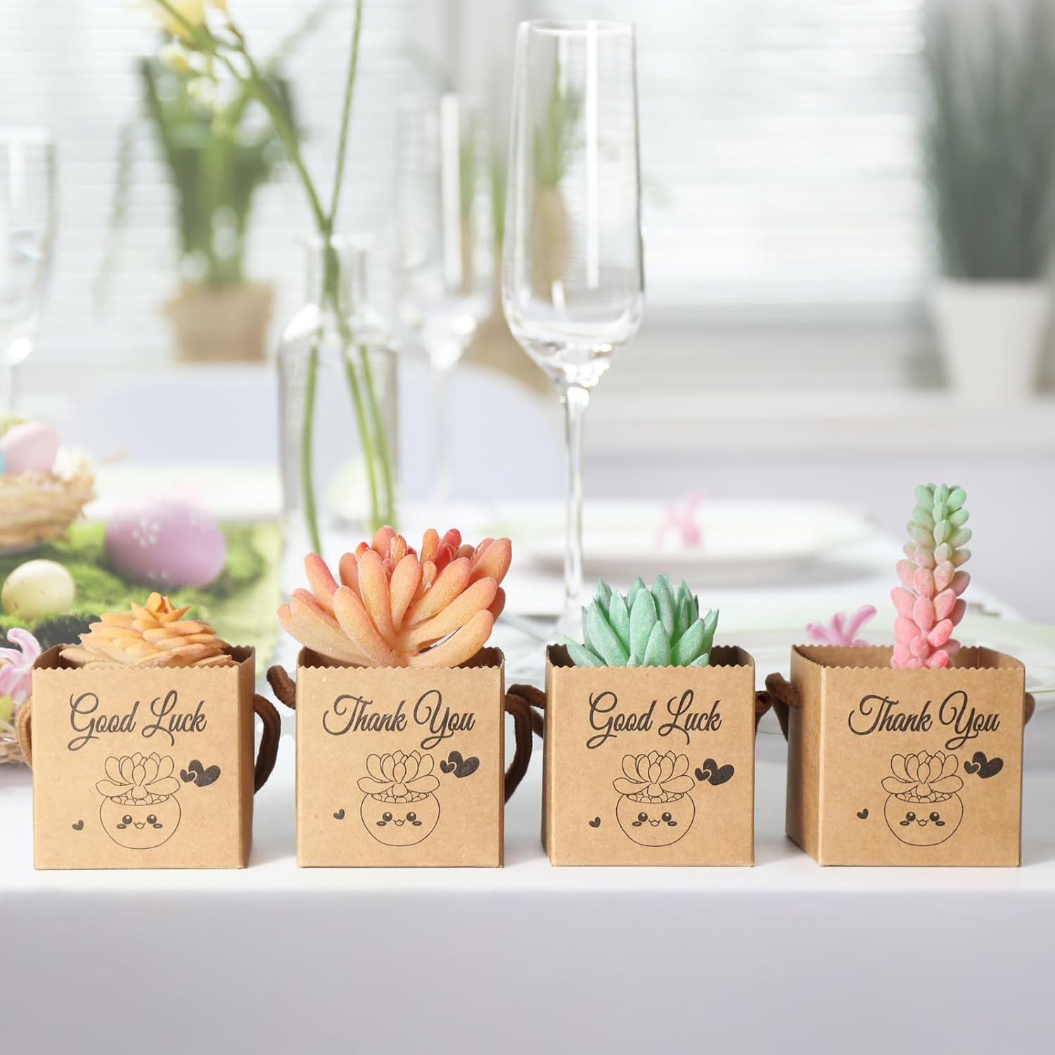 YALIOURS 50PCS Succulent Gift Wrap Bags for 2-25 Inch Pots