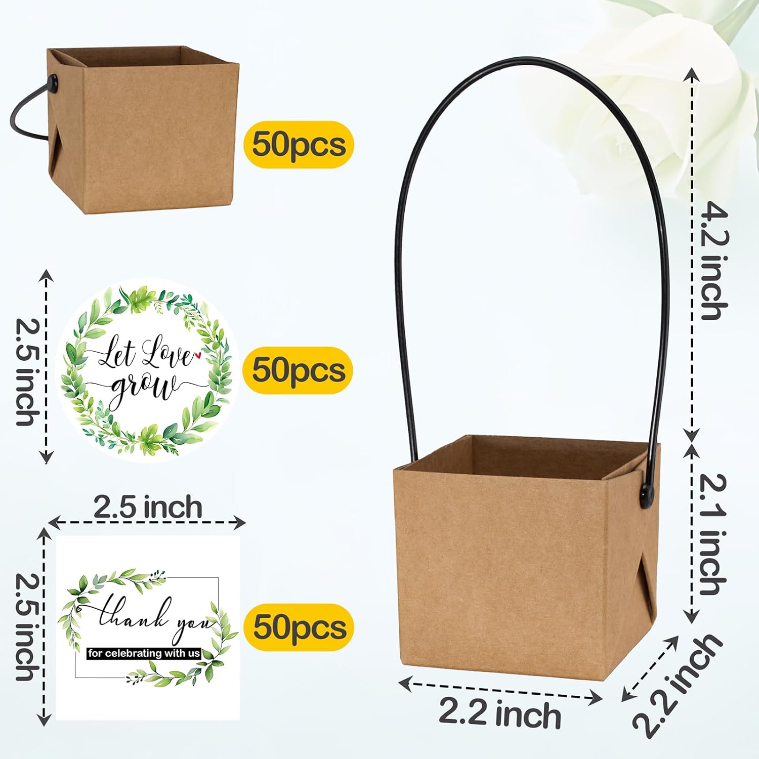 ENYOUNG 50 Pcs Mini Succulent Wrap Bags with Handle