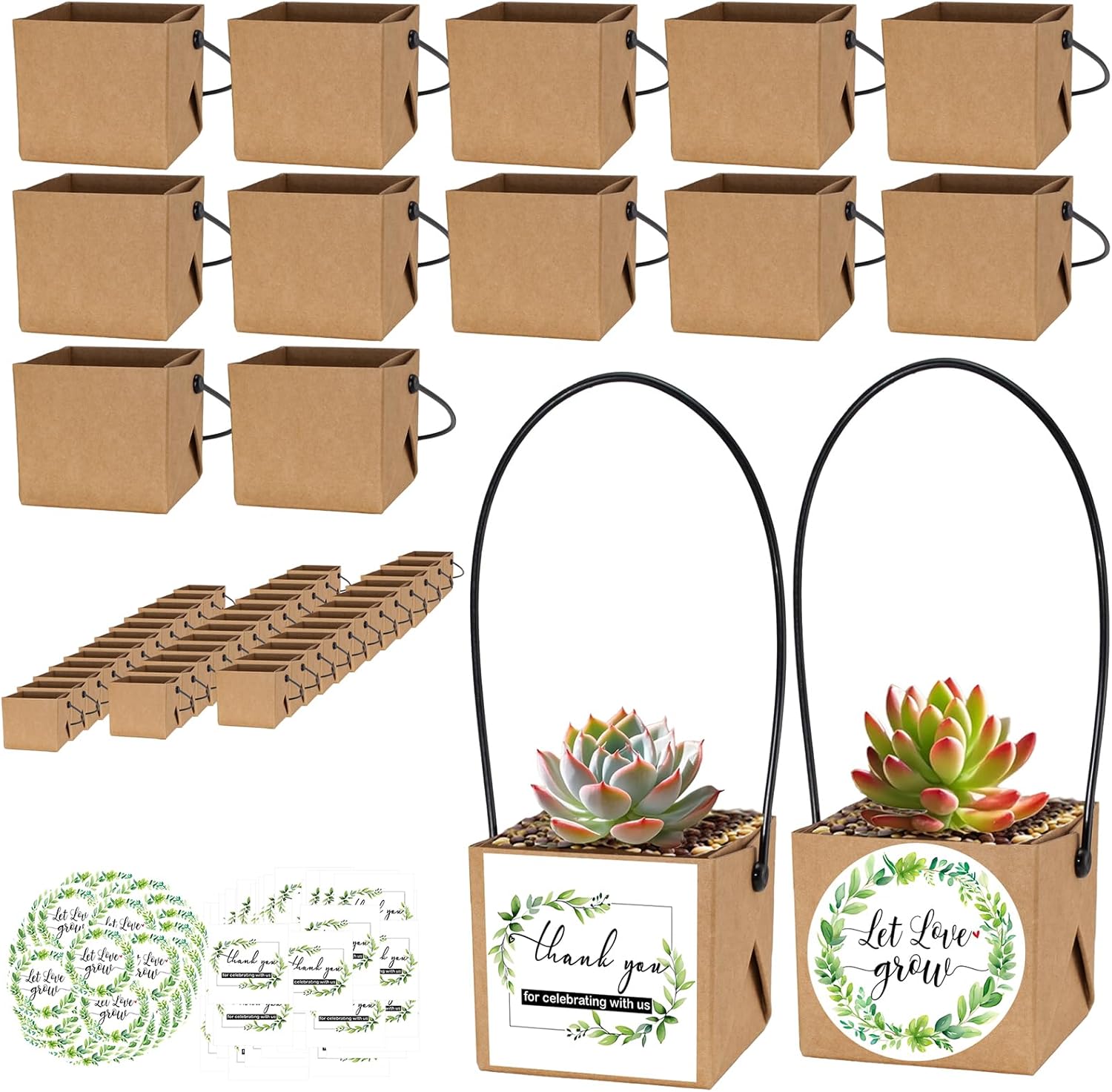 ENYOUNG 50 Pcs Mini Succulent Wrap Bags with Handle