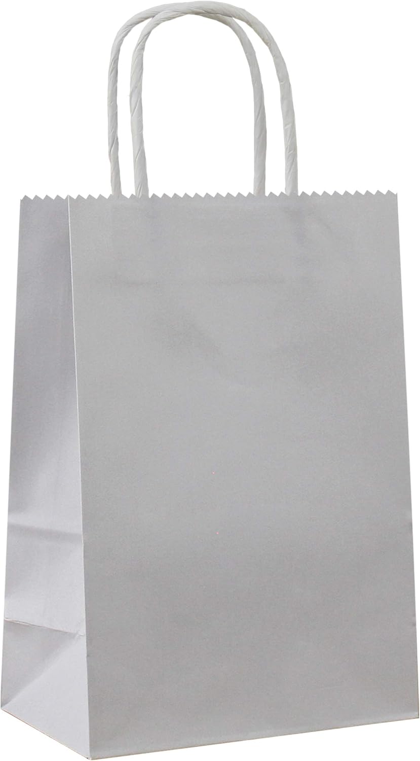 25 PCS Small Gray Kraft Gift Bags with Handles