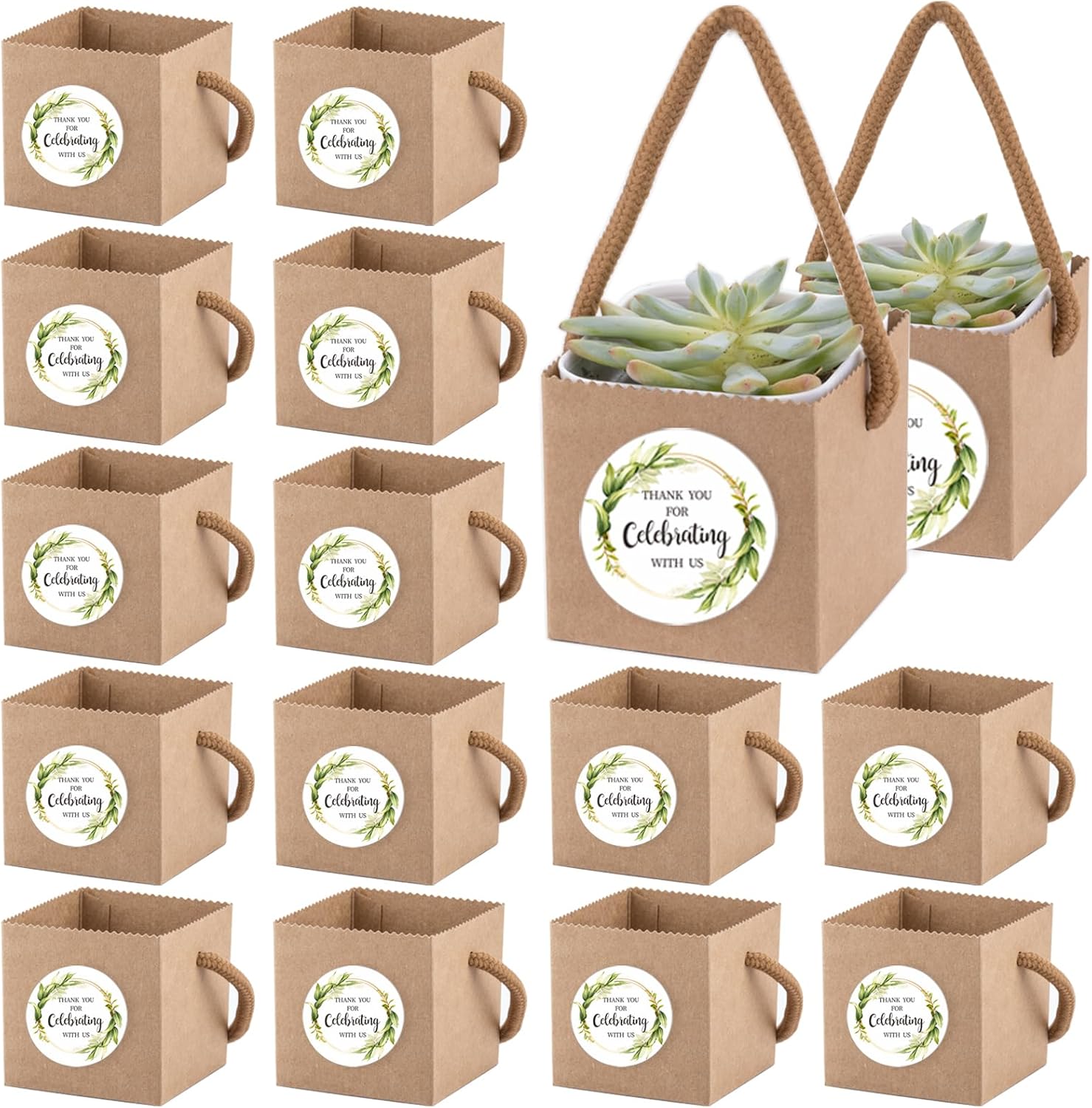 Ucnemous Succulent Wrap Bags with Thank You Stickers 40pcs