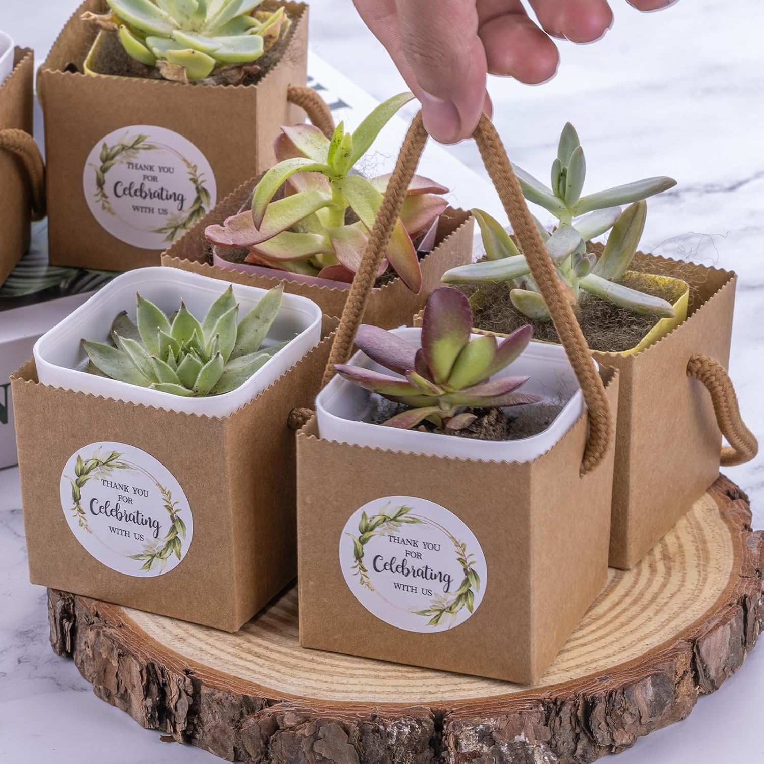 Ucnemous Succulent Wrap Bags with Thank You Stickers 40pcs