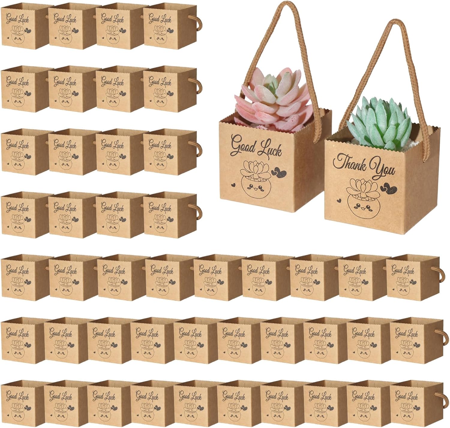 YALIOURS 50PCS Succulent Gift Wrap Bags for 2-25 Inch Pots